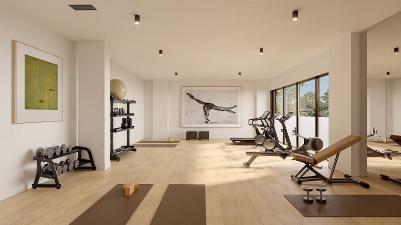 gimnasio-insur-albanova